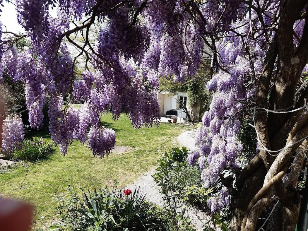 Domaine Les Feuillants Hotel Crouzilles Exterior foto